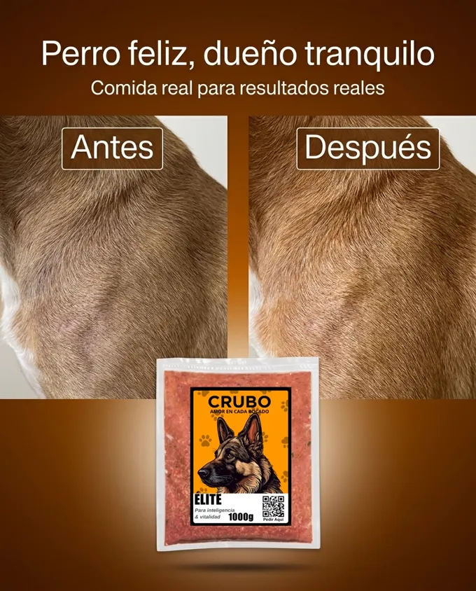 El pelaje de un perro antes y después de comer CRUBO BARF