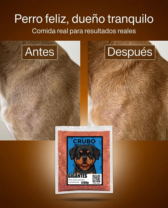 El pelaje de un perro antes y después de comer CRUBO BARF