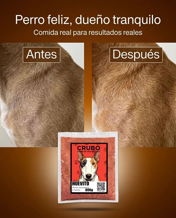 El pelaje de un perro antes y después de comer CRUBO BARF